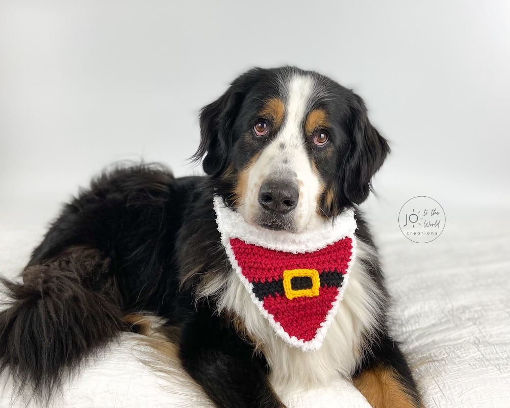 Santa Dog Bandana Crochet Pattern