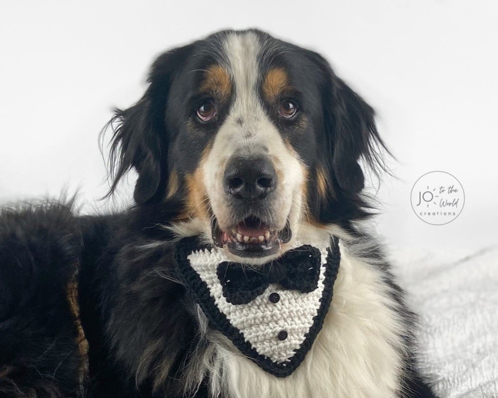 Tuxedo Dog Bandana Crochet Pattern